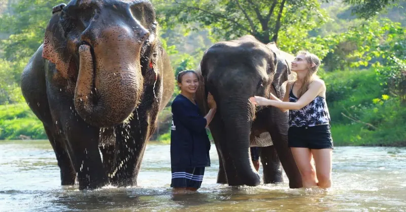 4D3N CHIANG MAI TOUR