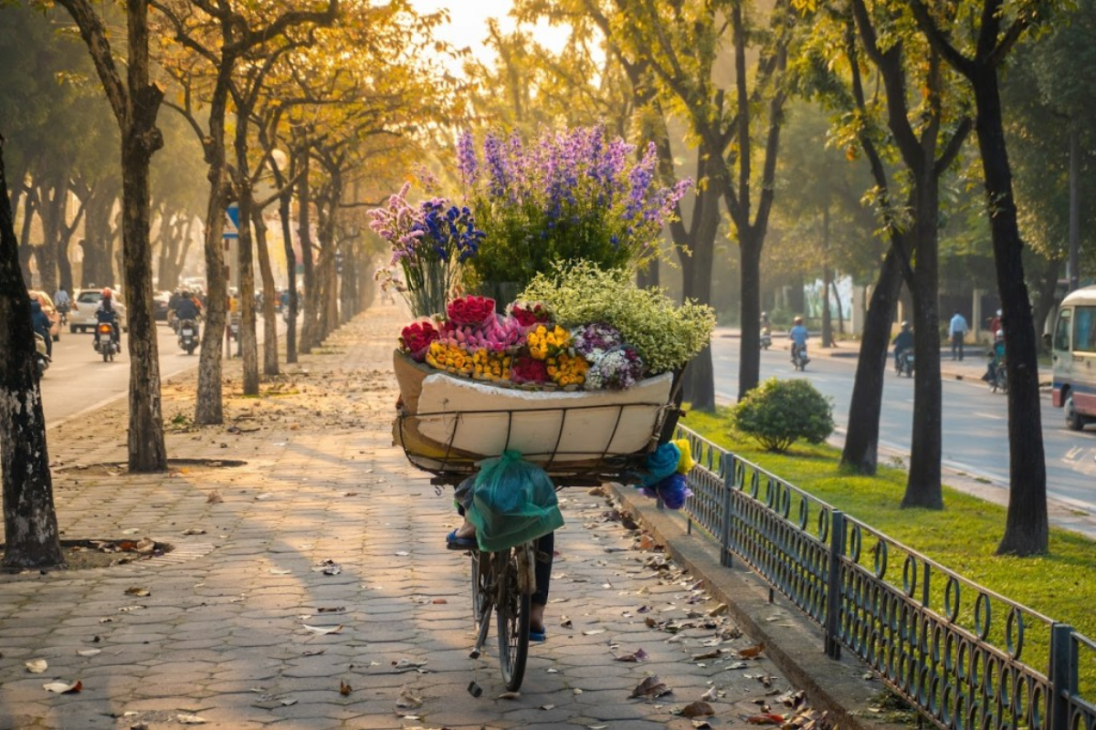 Exploring Vietnam in March: Your Ultimate Travel Guide – photo 12