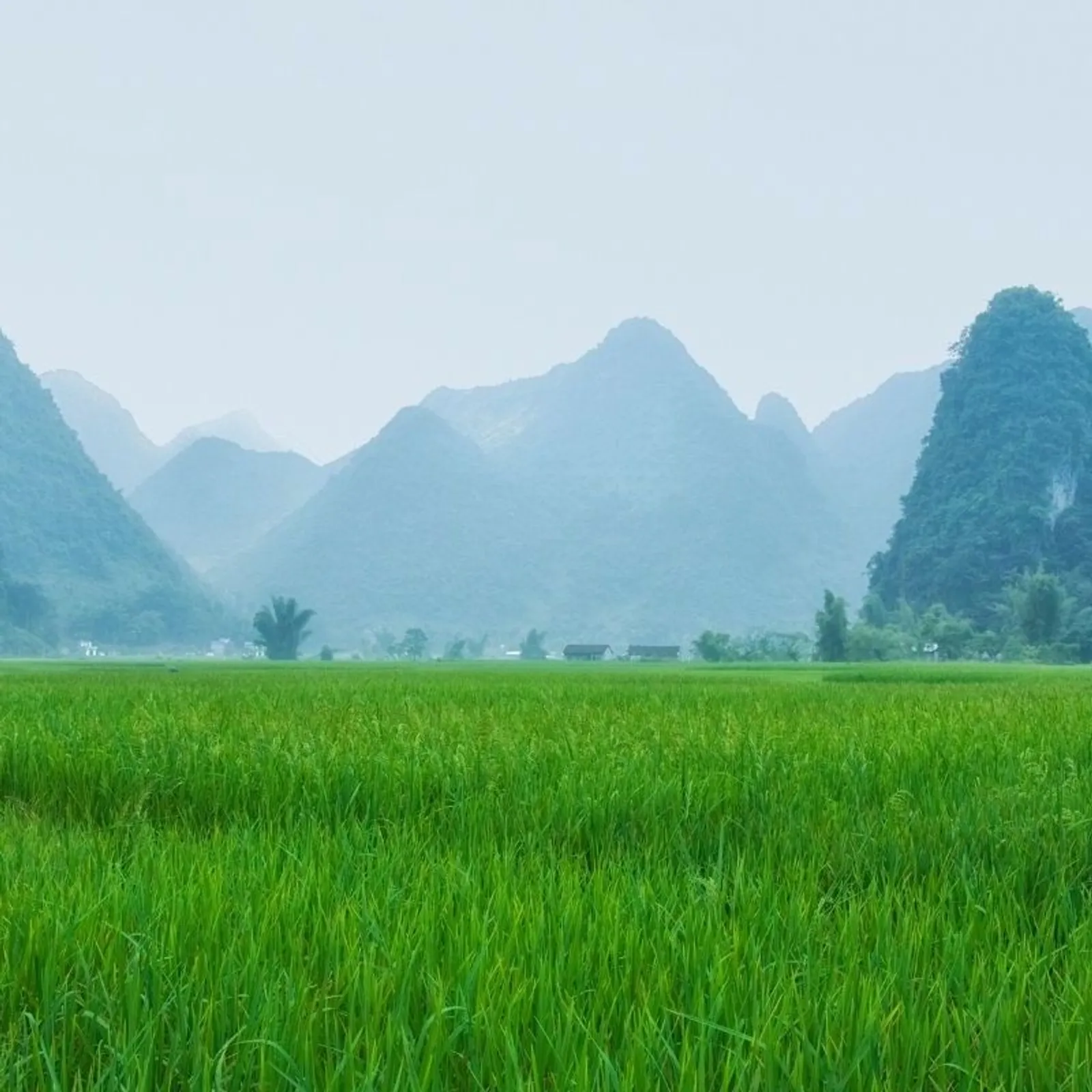 6 Day Ha Giang Yen Minh Meo Vac Cao Bang Ban Gioc Waterfall Tour – photo 32