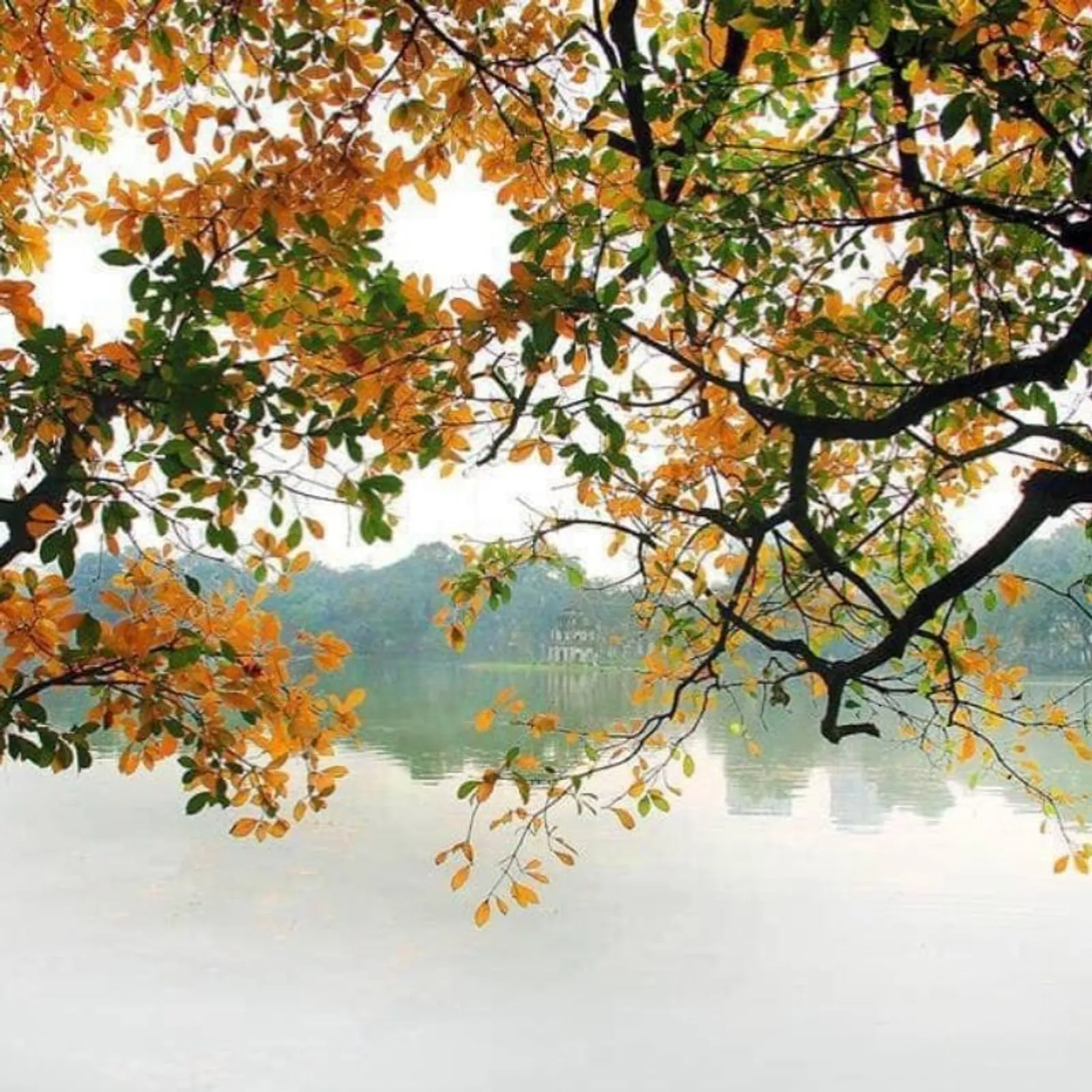 Vietnam Laos Cambodia Tour 11 Days / 10 Nights – photo 15